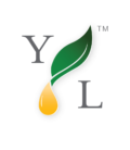 Young Living Essential Oil   Amy Kessler